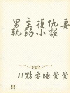 男主复仇妻子出轨的小说