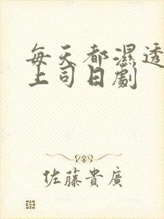 每天都湿透的女上司日剧