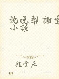 沈晚梨 谢云迟小说