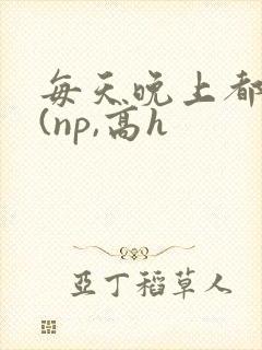 每天晚上都被插(np,高h