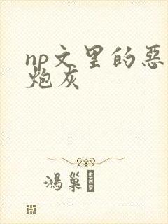 np文里的恶毒炮灰