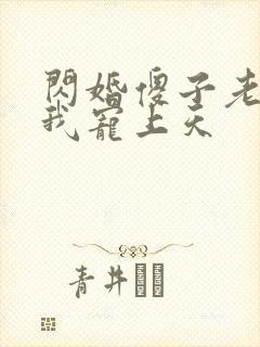 闪婚傻子老公把我宠上天