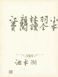 江颜林羽小说免费阅读全本