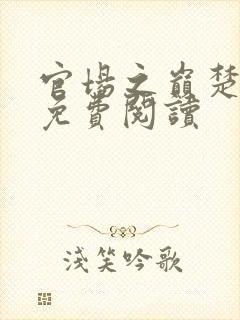 官场之巅楚东恒免费阅读