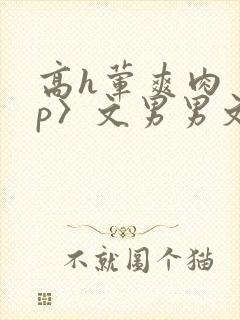 高h荤爽肉〈np〉文男男文