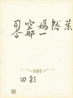 司空嫣然叶凡结合哪一