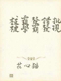 校霸发错批照后被学霸发现笔趣阁最
