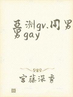 亚洲gv.同男男gay封面