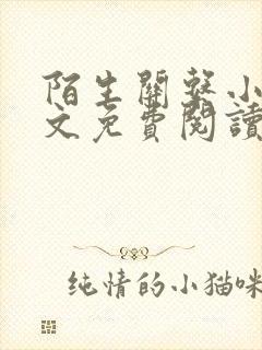 陌生关系小说全文免费阅读笔趣阁