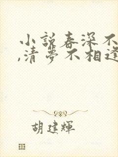 小说春深不归客,清梦不相逢免费阅读封面