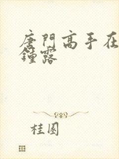 唐门高手在异世钟露封面