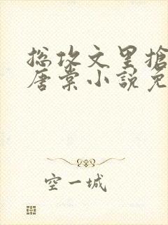 总攻文里抢主角唐棠小说免费阅读无弹窗