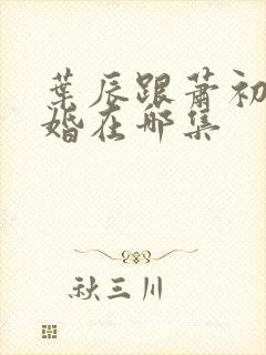 叶辰跟萧初然离婚在哪集