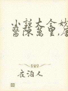 小说大全妙手龙医陈万里,唐嫣然封面