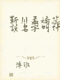 靳川孟娇蕊的小说名字叫什么封面