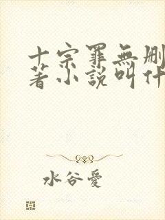 十宗罪无删减原著小说叫什么封面
