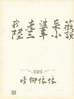 我老婆采薇养父陆三平小说txt封面