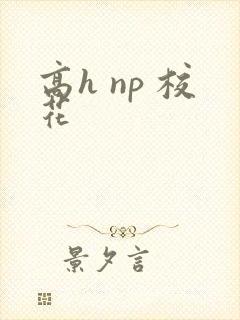 高h np 校花
