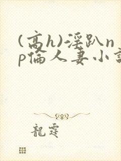 (高h)淫趴np伦人妻小说