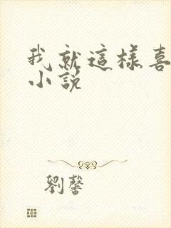 我就这样喜欢你小说