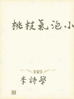 桃枝气泡小说