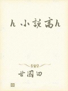 h 小说高h封面