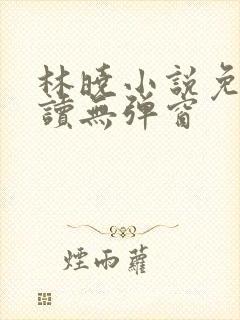 林晓小说免费阅读无弹窗