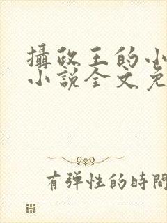 摄政王的小闲妻小说全文免费阅读