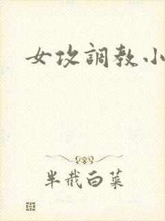 女攻调教小说h