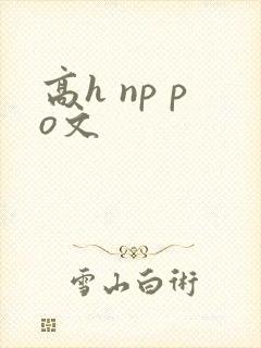 高h np po文