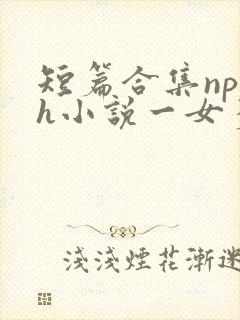 短篇合集np高h小说一女多男