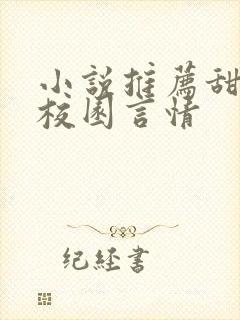 小说推荐甜宠文校园言情封面