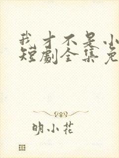 我才不是小可怜短剧全集免费
