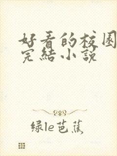 好看的校园言情完结小说