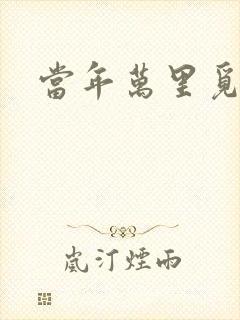 当年万里觅封候