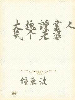大魏读书人男主几个老婆封面
