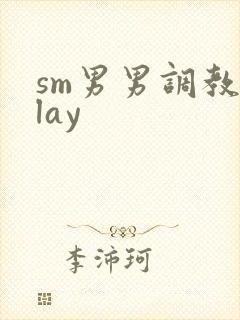 sm男男调教play
