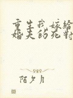重生我嫁给了未婚夫的死对头封面