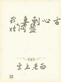 我妻刺心古言txt网盘封面