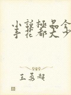小说极品全能高手花都大少