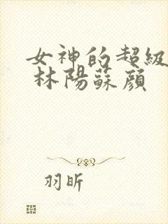 女神的超级赘婿 林阳苏颜封面