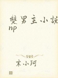 双男主小说高hnp