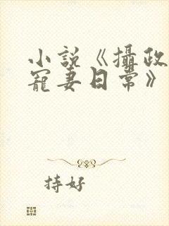 小说《摄政王的宠妻日常》
