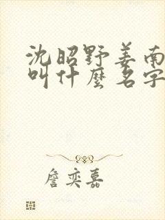 沈昭野姜南小说叫什么名字