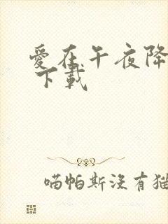 爱在午夜降临前 下载