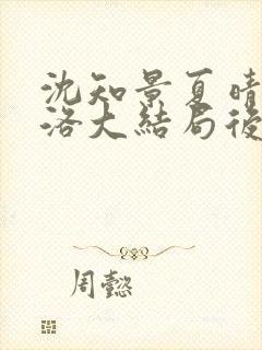 沈知景夏晴白洛洛大结局后续