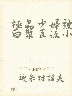 极品少妇被猛得白浆直流小说