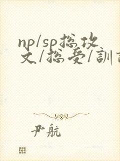 np/sp总攻文/总受/训诫文