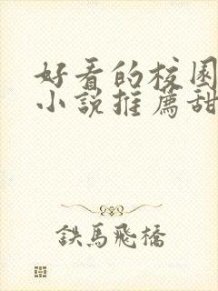 好看的校园言情小说推荐甜宠文