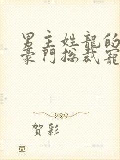 男主姓龙的小说豪门总裁宠文